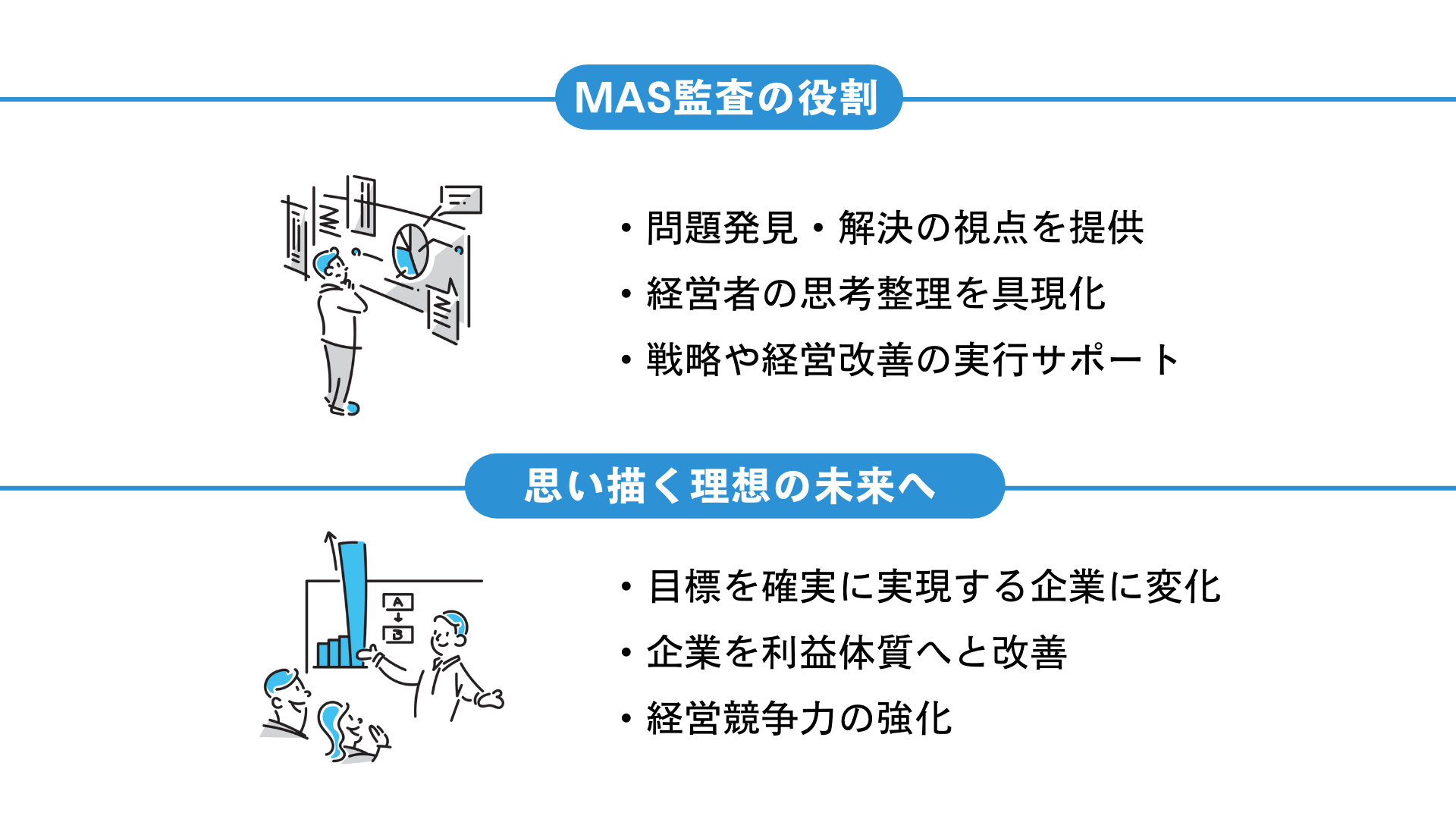 MAS監査の役割